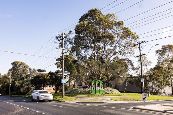 A corner street with a white car in the left and big trees and power lines