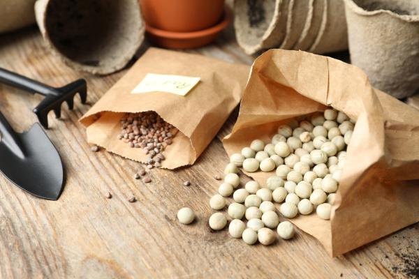 Various saved vegetable seeds spill out onto a table