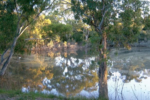 Image of the Bolin Bolin Billabong