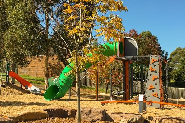 Newly planted tree and playground