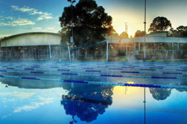 Aquarena Swimming Pool link.