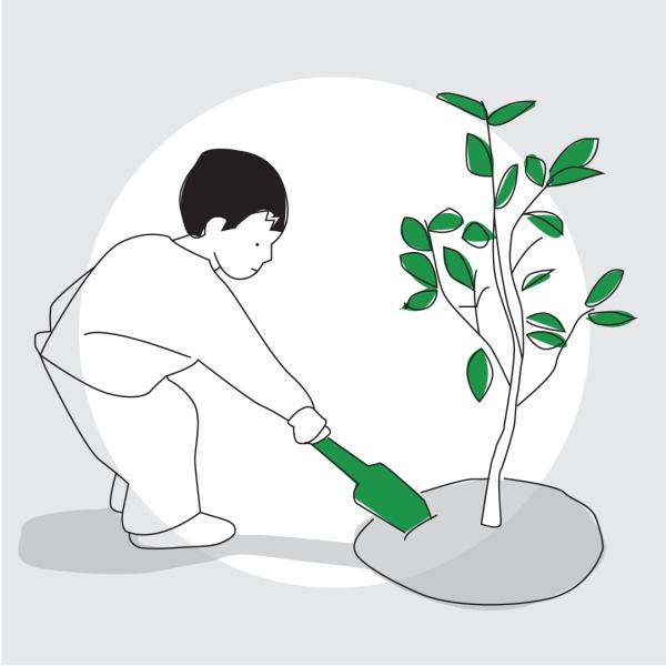 Graphic of a child holding a spade at the base of a small tree.