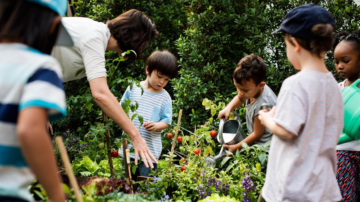 A group of small children working in a vegetable garden