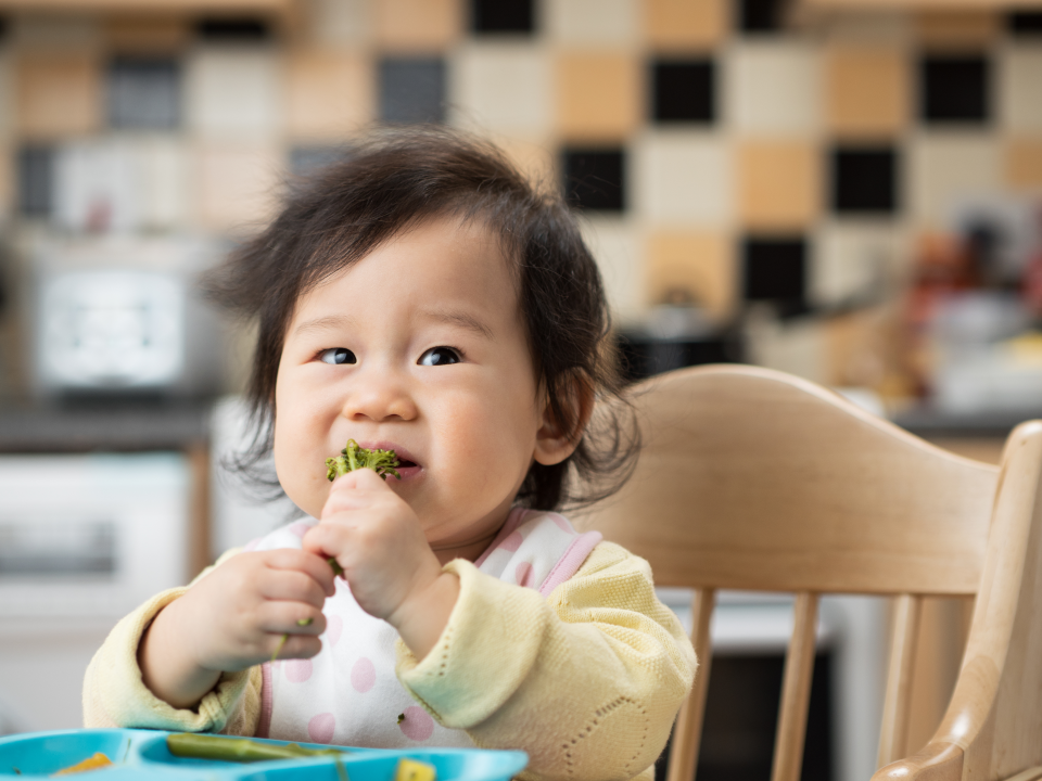 Baby eating food
