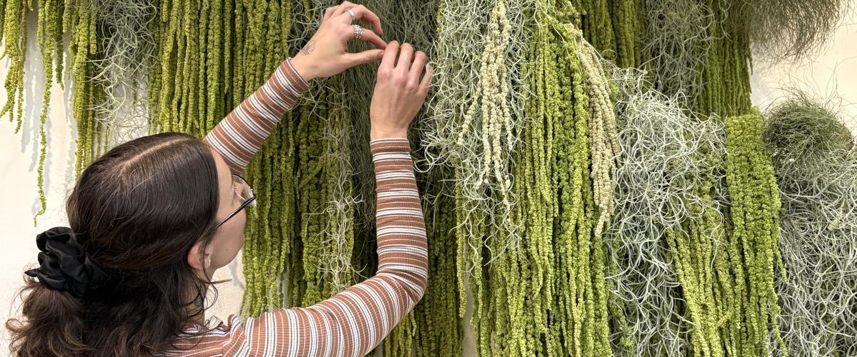 Artist Kayla Moon adding the finishing touches to her botanical display in the foyer of the Civic Centre.