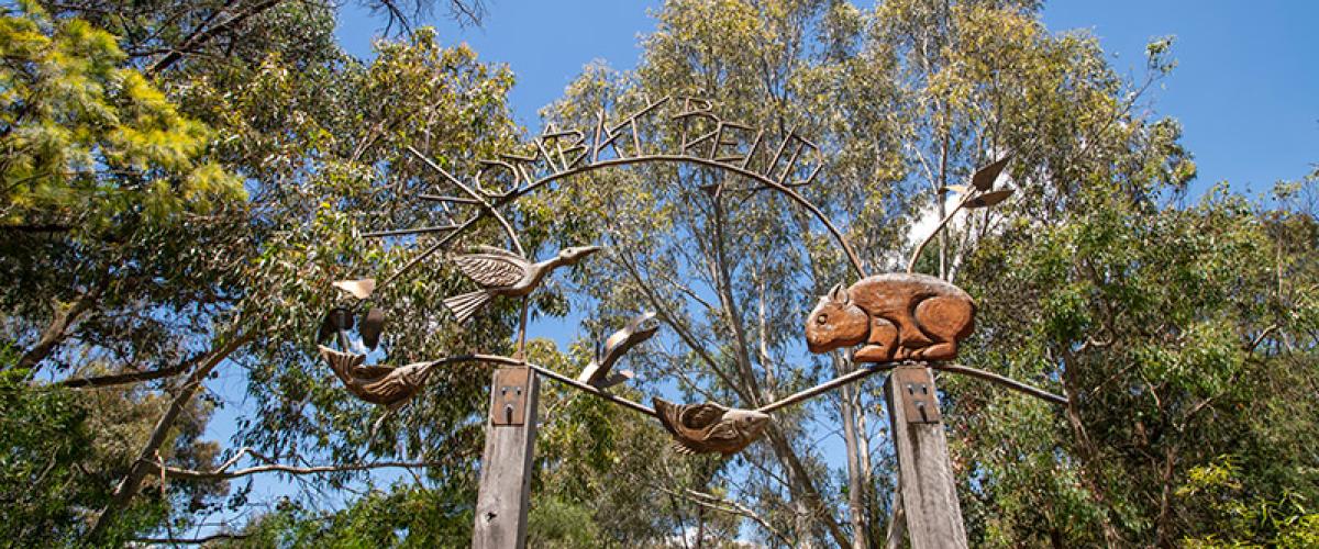Photo of part of the sculpture with wombats and birds