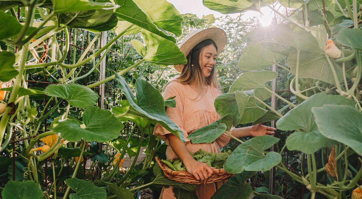 A young woman smiles under a pumpkin vine arch, picking vegetables 