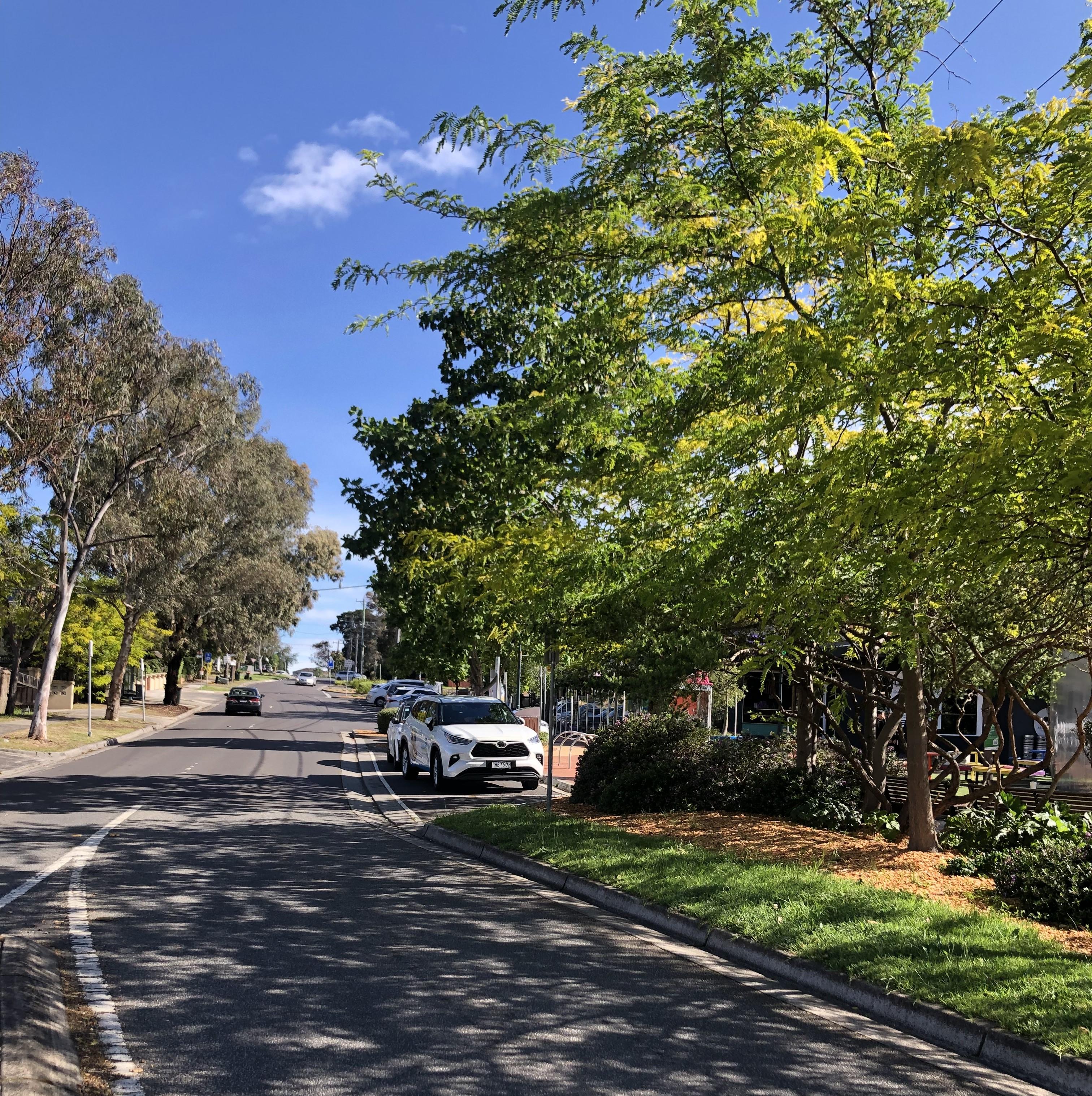 Photo of road outside Templestowe Village shops