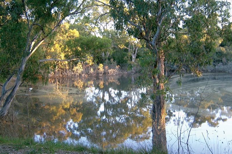 Image of the Bolin Bolin Billabong