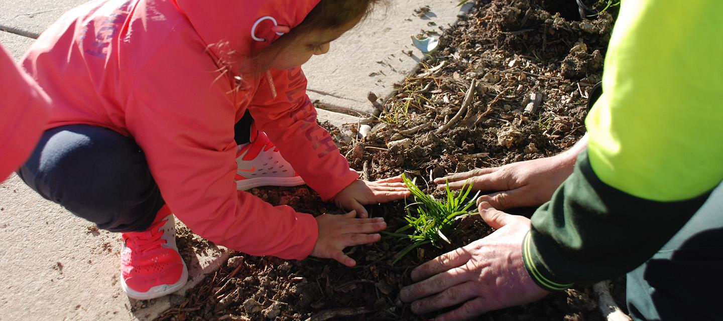 Child planting in a park