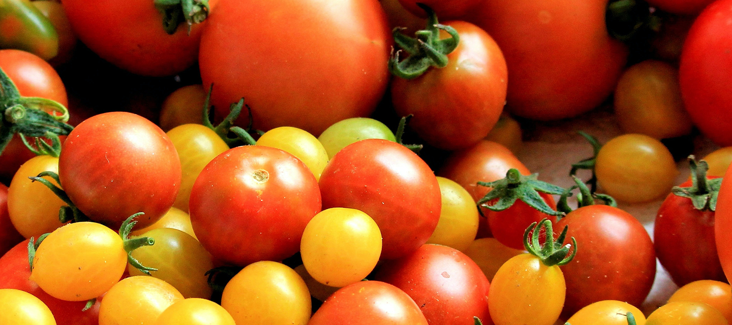 Cherry tomatoes