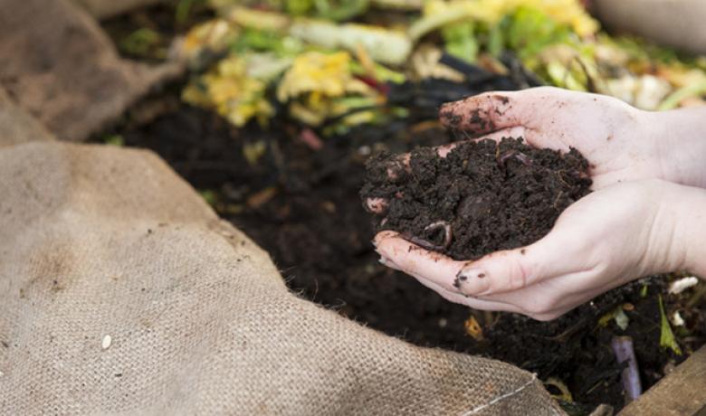 Pair of hands scooping up soil with worms in it