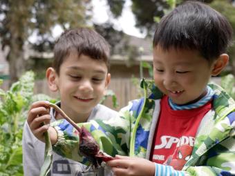 Two young boys in a garden setting. One boy is holding a vegetable recently pulled from the earth the other boy looks on. Both are smiling.