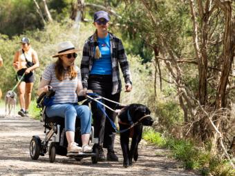 A woman in a wheelchair holds the lead of a black labradoor as another woman walk by her side. They are on a dirt path in a bush setting with other walkers and dogs behind them.