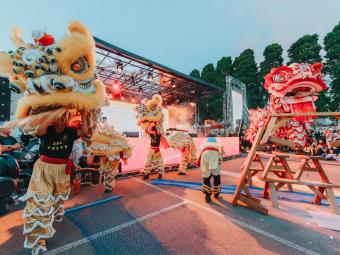 Chinese dragon dancers performing at an outdoor festival