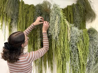 Artist Kayla Moon adding the finishing touches to her botanical display in the foyer of the Civic Centre.