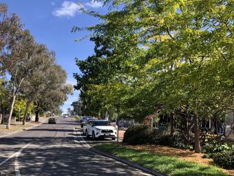 Photo of road outside Templestowe Village shops