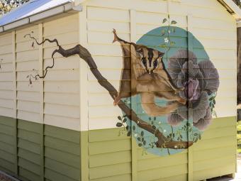 A mural of a sugar glider possum, a tree branch and a cabbage looking plant on a yellow and green painted timber shed.