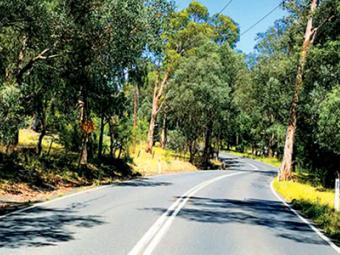 jumping creek road