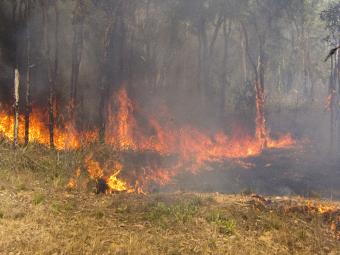 Grassland bushfire