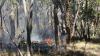 photo of a small bushfire amongst gum trees and grassland