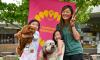 Two children and an adult holding fluffy dogs in front of a bright pink ‘Summer Celebration’ banner at an outdoor event.